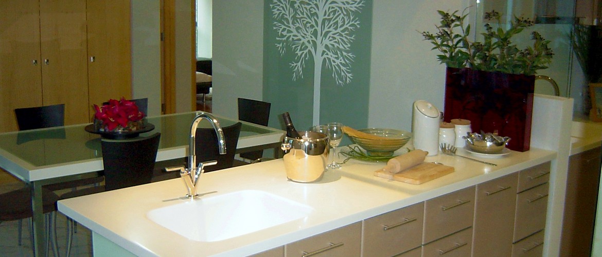 Condominium Showflat - Kitchen Countertop